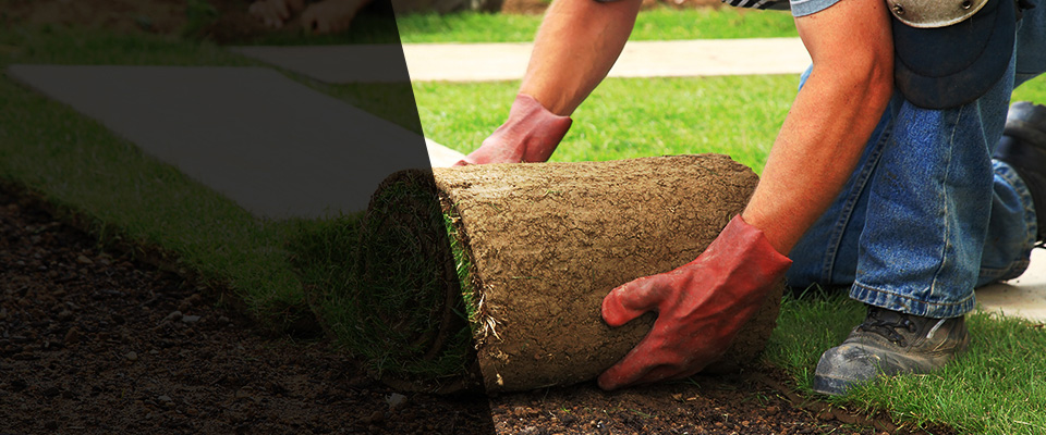 Casselberry Landscapers